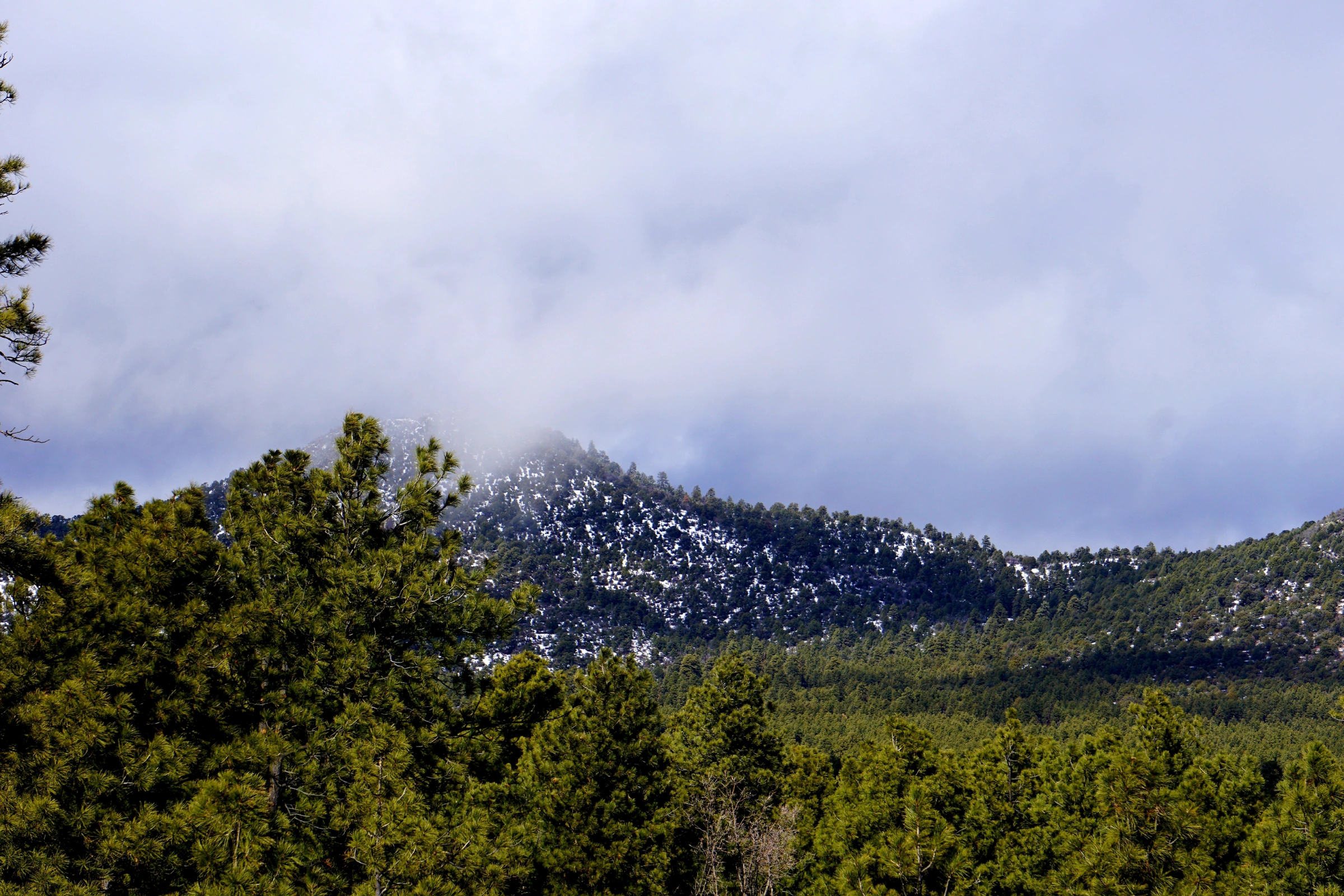 Williams,_Arizona[1].webp